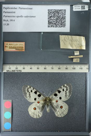 Media type: image;   Entomology 175385